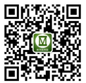 色情小说网站